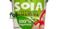 gelato vegano soia amarena auchan